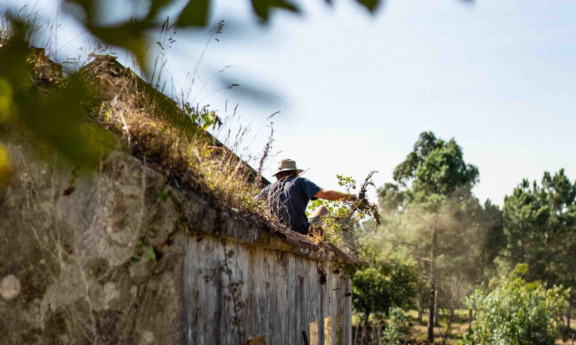 This picture shows the House of Granxa Galicia