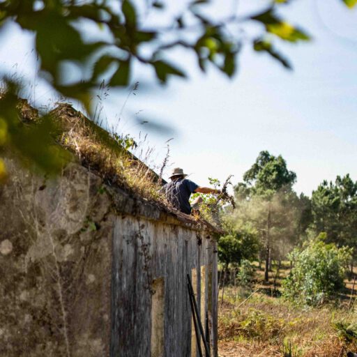 This picture shows the House of Granxa Galicia